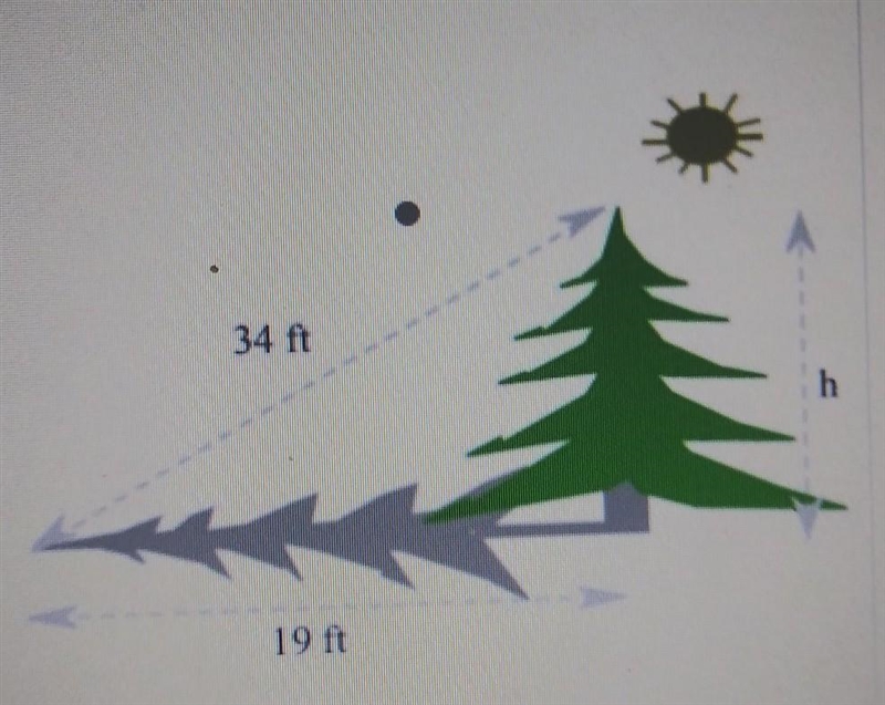 The tree is ___ ft tall. ( Round to the nearest tenth)​-example-1