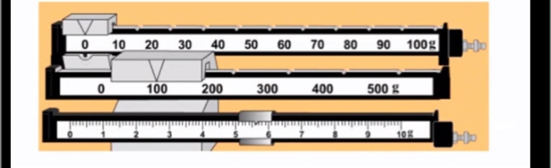 Please can you tell me how much each balance show-example-1