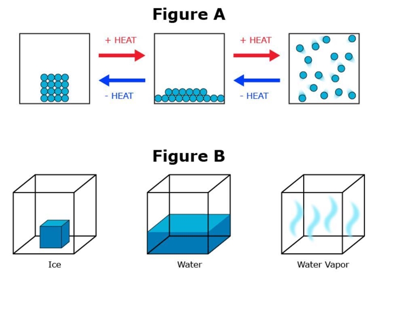 A group of students are studying two models of solids, liquids, and gases. The students-example-1