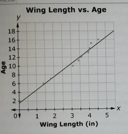 Wing Length vs. Age у 18 16 14 12 10 Age 6 ONA O 00 X 5 07 1 2 3 4 Wing Length (in-example-1