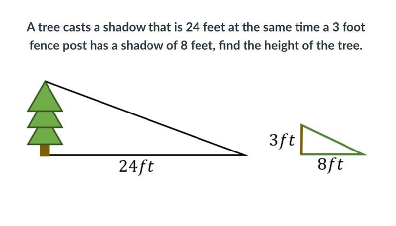 Please help me with this please! Enter the actual height of the tree.-example-1