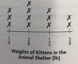 What is the combined weight of all the kittens-example-1