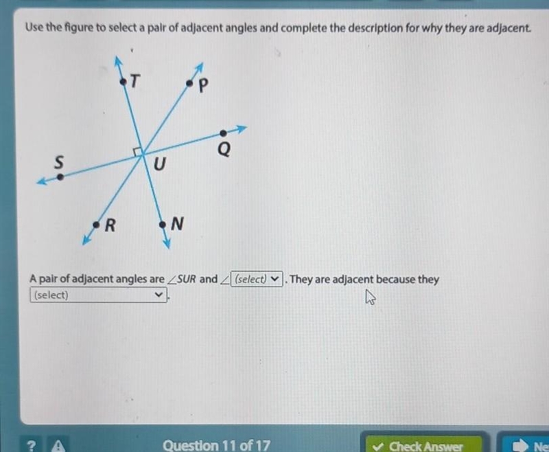 Use the figure to select a pair of adjacent angles and complete the description for-example-1