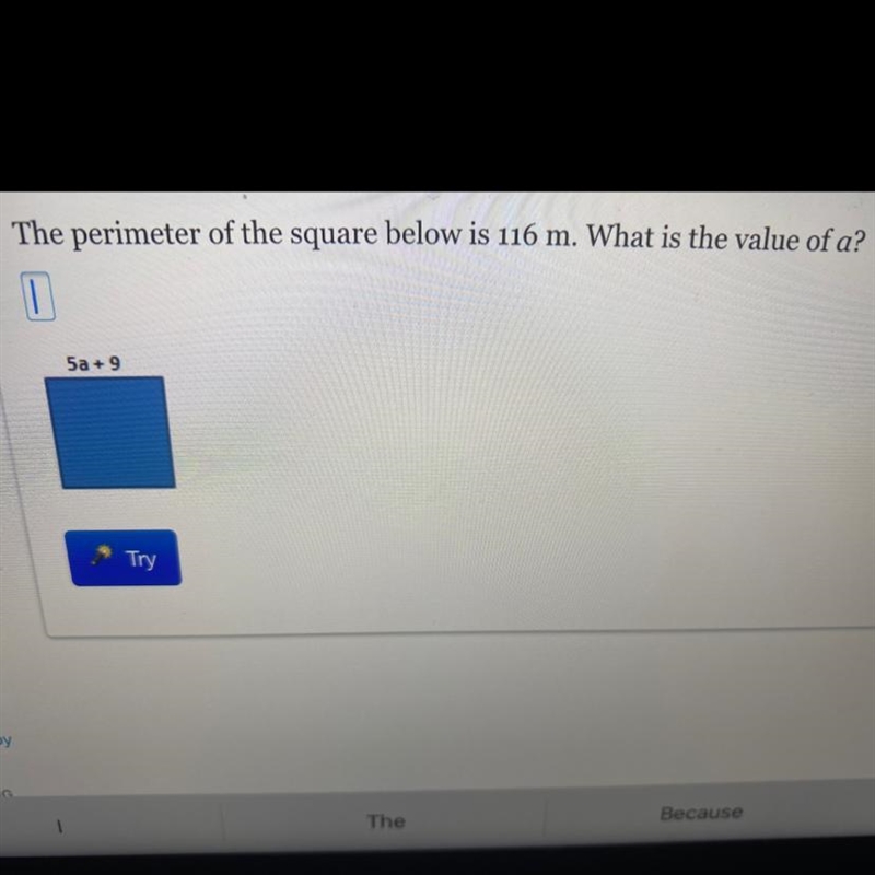 The perimeter of the square below is 116 m. What is the value of a? 5a +9-example-1