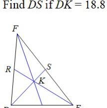 Find DS if DK= 18.8 (Answer plzzz)-example-1