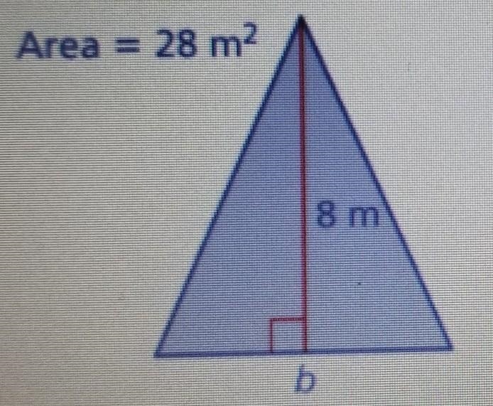 Find the missing dimension of the triangle ​-example-1