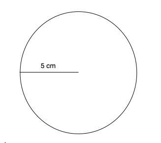 What is the radius of this circle?-example-1