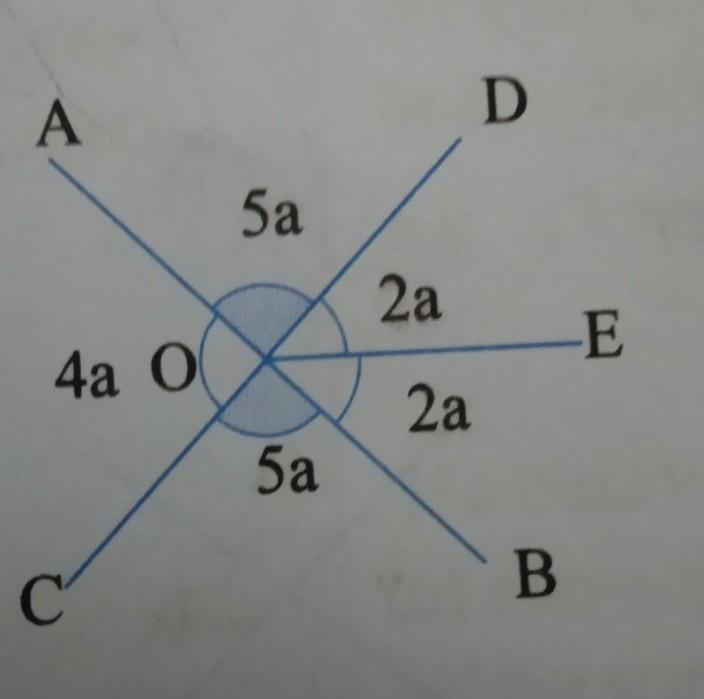 Solve please this question​-example-1