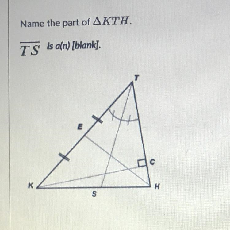 Name the part of AKTH. TS is a(n) [blank]. PLEASE PLEASE HELP !!!-example-1