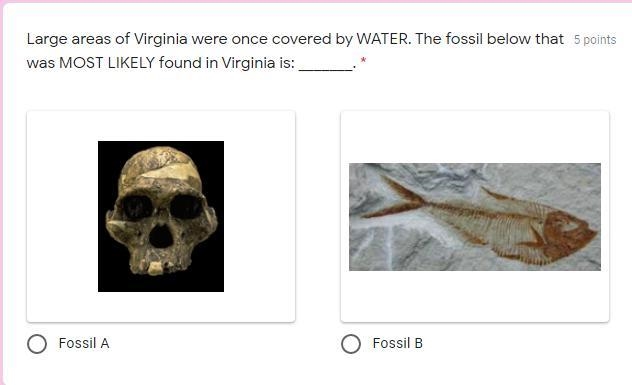 Large areas of Virginia were once covered by WATER. The fossil below that was MOST-example-1