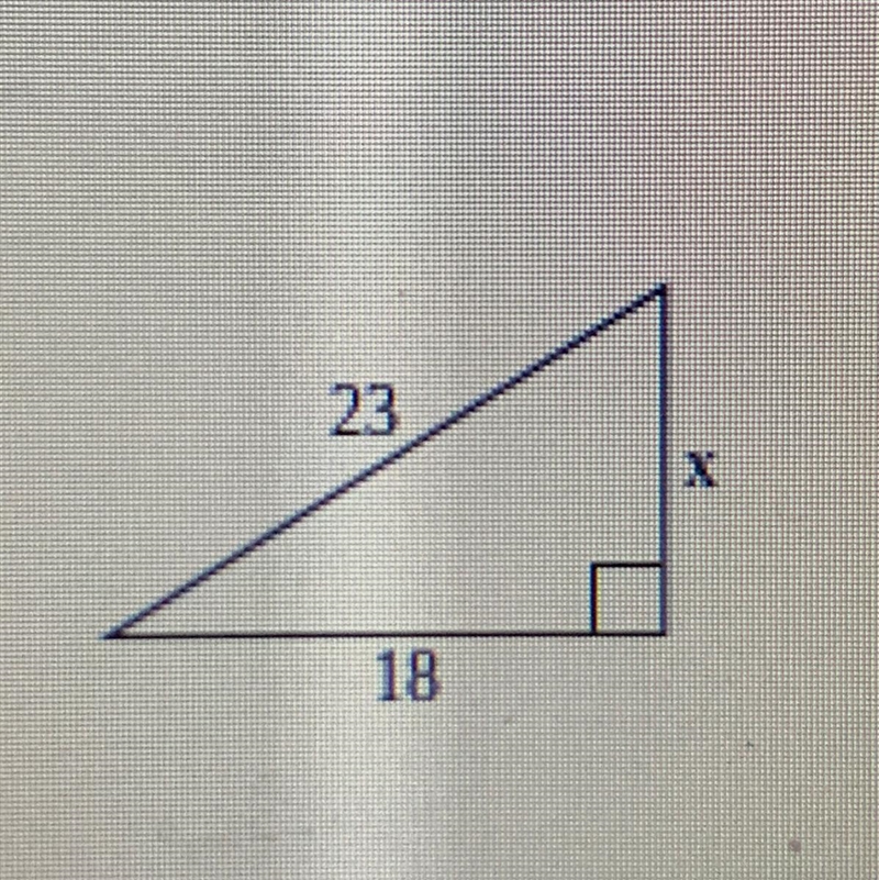 Find the value of x-example-1