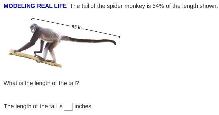 What is the length of the tail-example-1