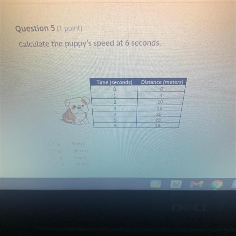 Calculate the puppy's speed at 6 seconds.-example-1