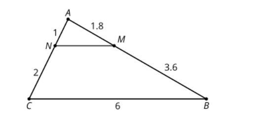 What must be true about segment MN? (image included)-example-1