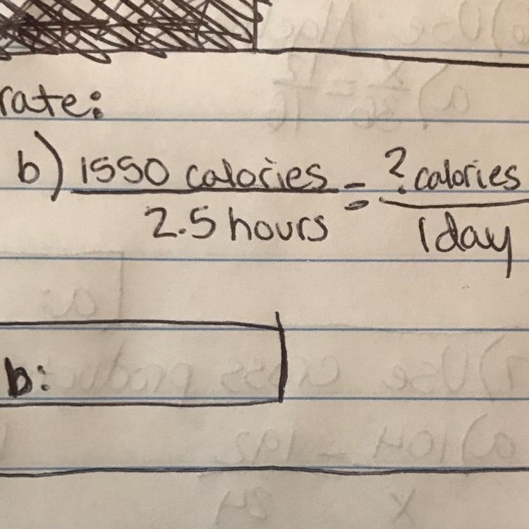 Find the equivalent rate: 1550 calories/2.5 hours = ? calories/ 1 day-example-1