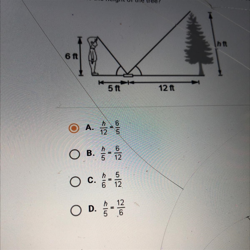 The figure shows a person estimating the height of a tree by looking at the top of-example-1