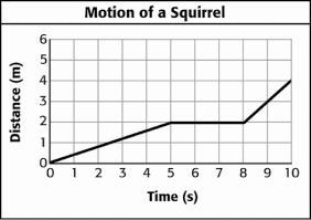 During which time interval is the squirrel traveling at the fastest speed? 1–2 min-example-1