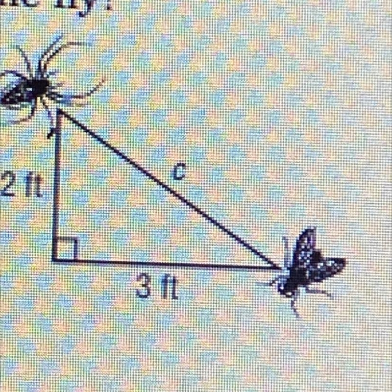 HELP ASAP: How far apart are the spider and the fly?(it needs to be written in a equation-example-1