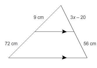 What is the value of x?-example-1