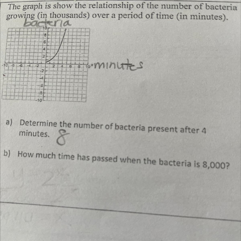 How much time has passed when the bacteria is 8,000-example-1