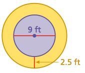 Please Help Find the circumferences of of both circles to the nearest hundredth.-example-1