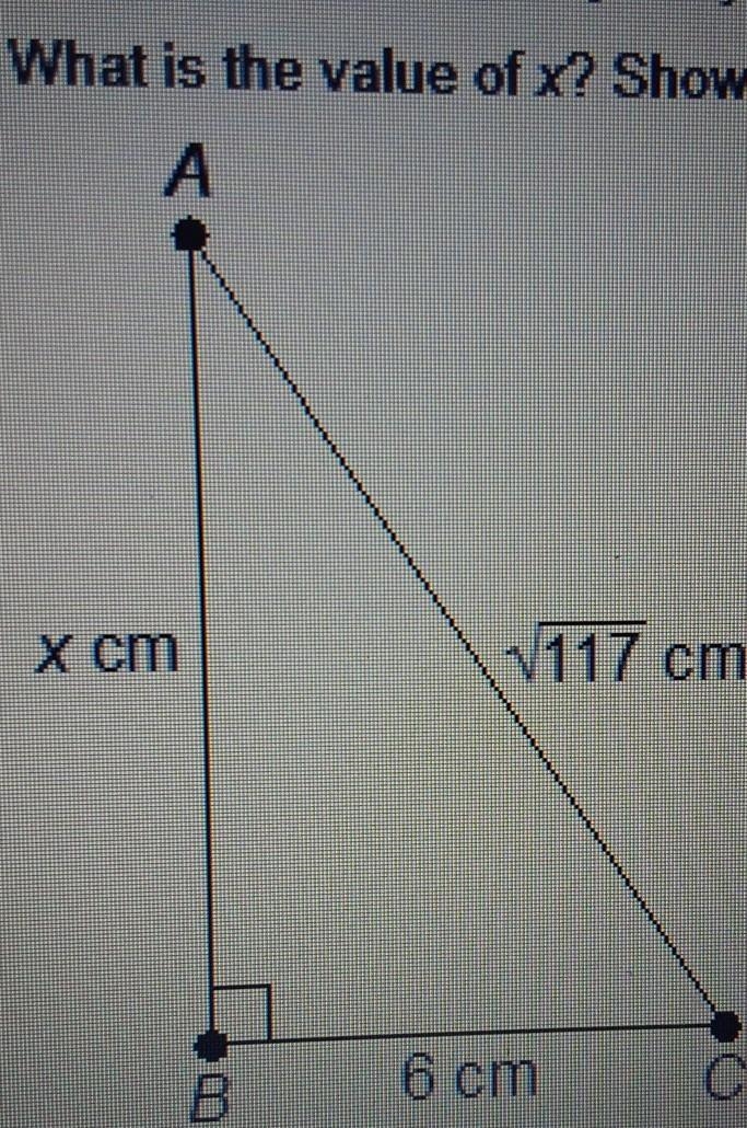 What's the value of "x"? Show all your work. ​-example-1