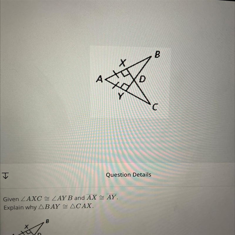 Please help! explain why angle BAY is congruent to angle CAX-example-1