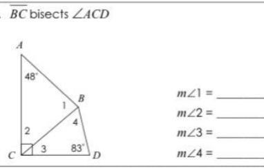 Pls Help!!!!! Directions: Find all missing angles.-example-1