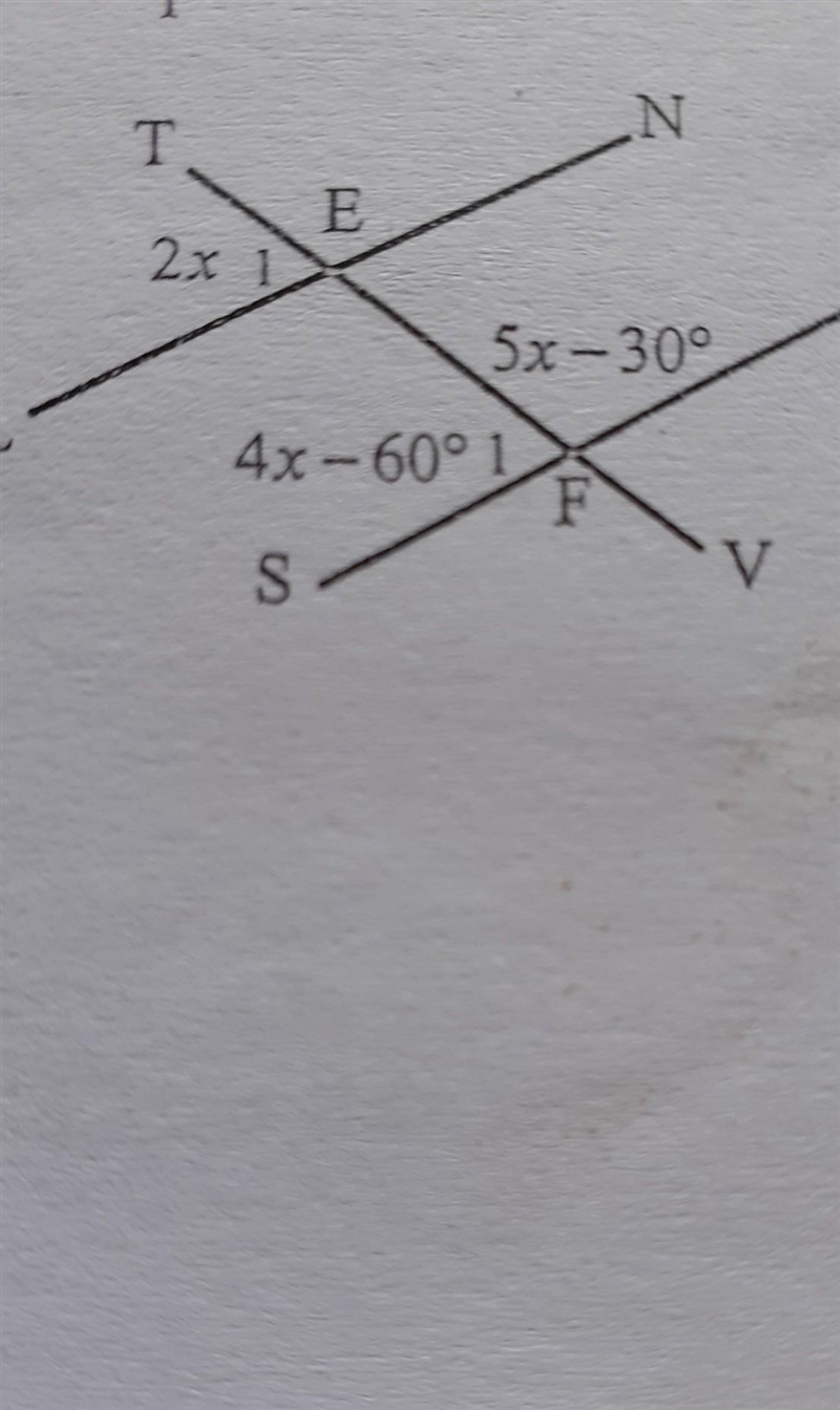 Can someone help??? I need to find the value of x ​-example-1