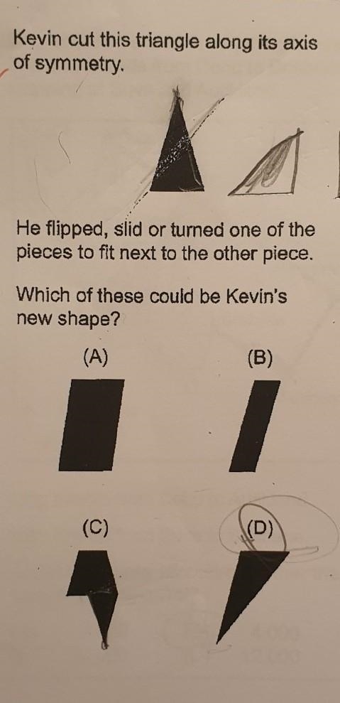 Ignore drawings of triangles and the answer is not D !! Thank you!!​-example-1