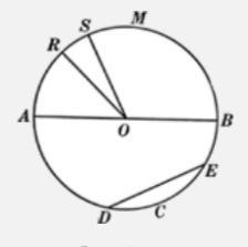 NEED ASAP!! Name all the radii shown on this circle. Select all that apply.-example-1