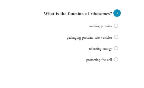 What is the function of ribosomes?-example-1