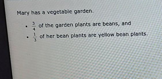 What fraction of the whole garden is yellow bean plants? ​-example-1