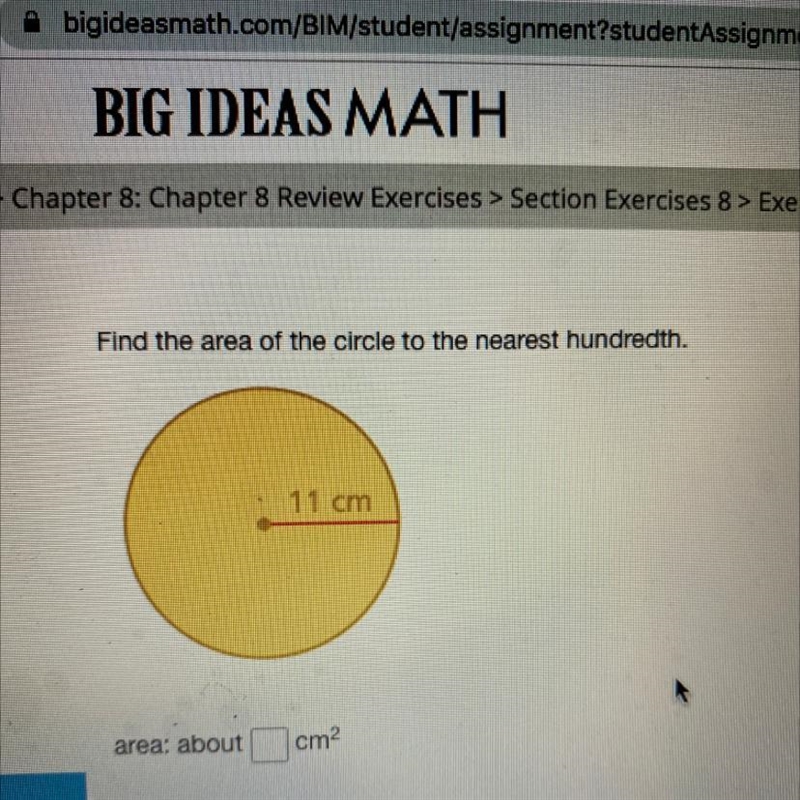 Help! Find the area of the circle to the nearest hundredth. 11cm-example-1