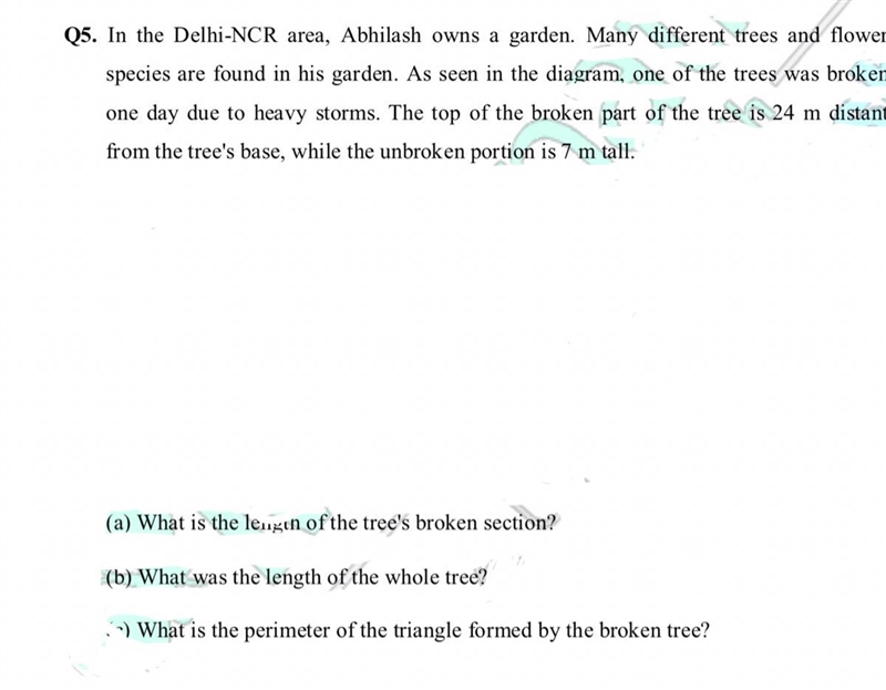 Pls help me in this my math exam is Tom and I wanna know how to solve theese-example-1