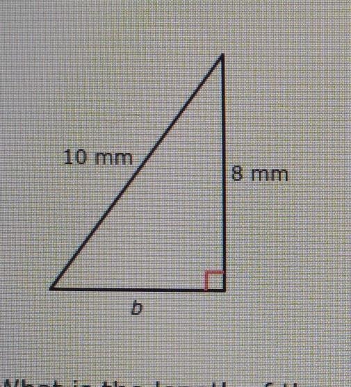 What is the length of the missing leg?​-example-1