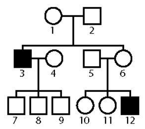 The pedigree below shows a sex-linked trait carried on the X chromosome. Shaded individuals-example-1