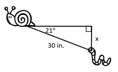 Find the value of x. Round to the nearest tenth.-example-1