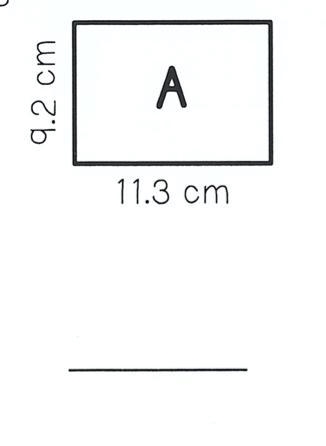 33 POINTS! Find the area of the shape.-example-1