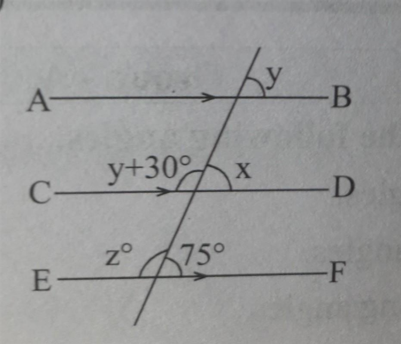 Find the value of unknown angles​-example-1