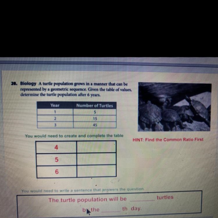 Plss help it’s for homework-example-1