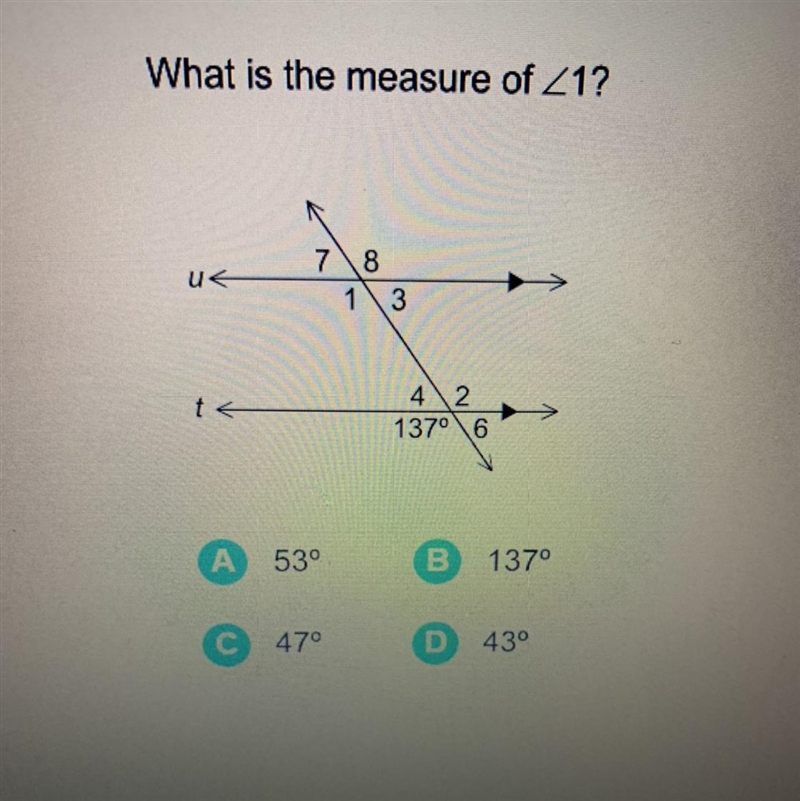 Help please! I need asap-example-1