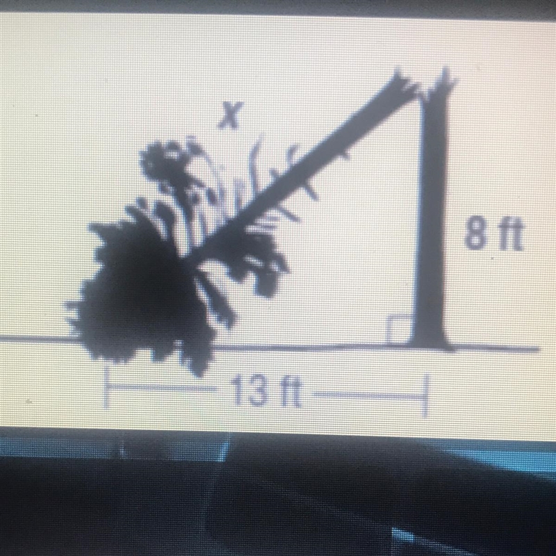 HELP PLEASE! A large pine tree was struck by lightning and fell as shown by the diagram-example-1