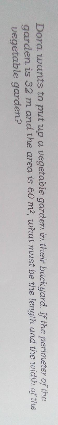 Dora wants to put up a vegetable garden in their backyard. If the perimeter of the-example-1