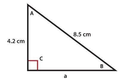 Which of the following are the sines for the angles of this triangle? Select all that-example-2