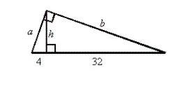 Find a, b, and h. please help-example-1