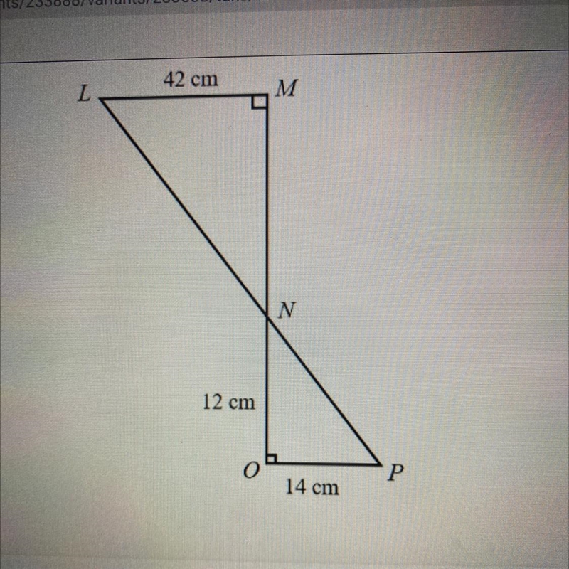 If triangle LMN ~ triangle PON, what is MN?-example-1