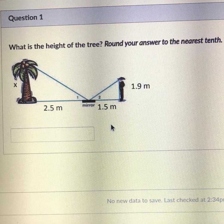 What is the Length of x?-example-1