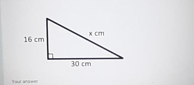 Find the value of x ​-example-1