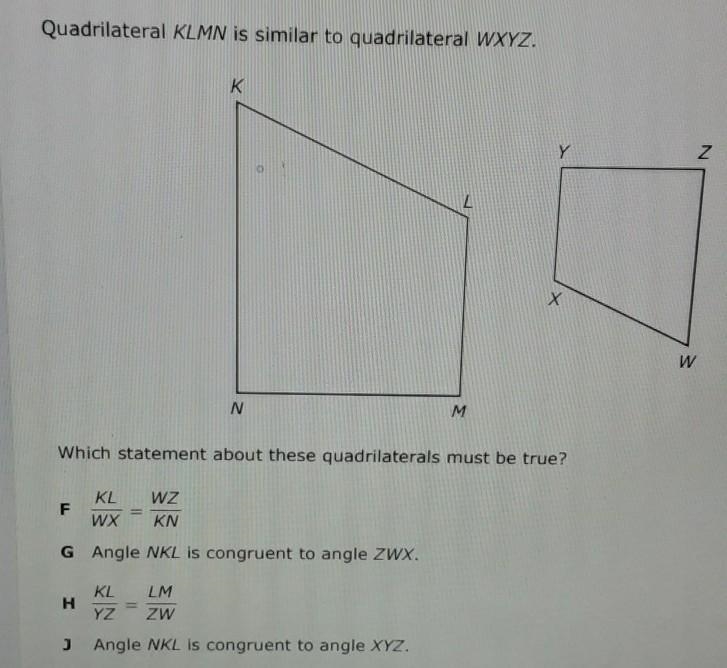 I need correct answer please!:)​-example-1